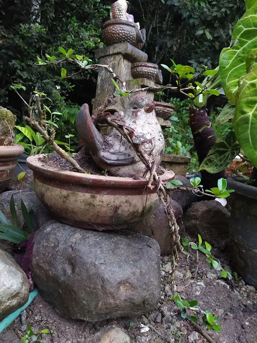 Bamboo Park Picture 1
