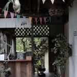 Setor Kopi