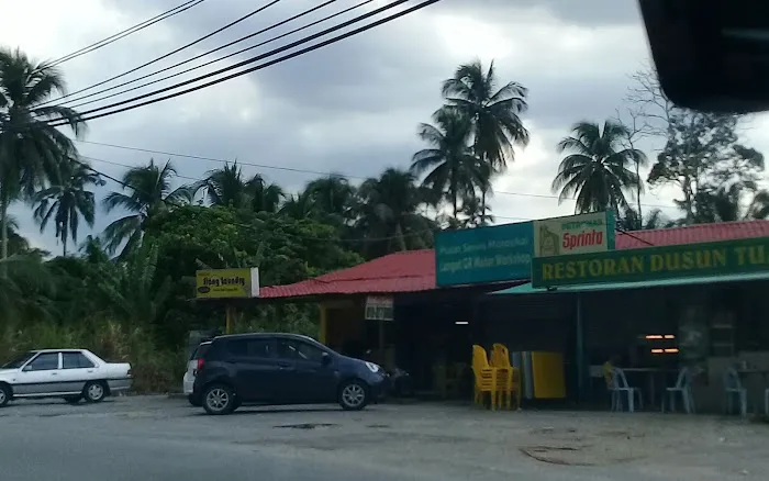 Restoran Dusun Tua Picture 9