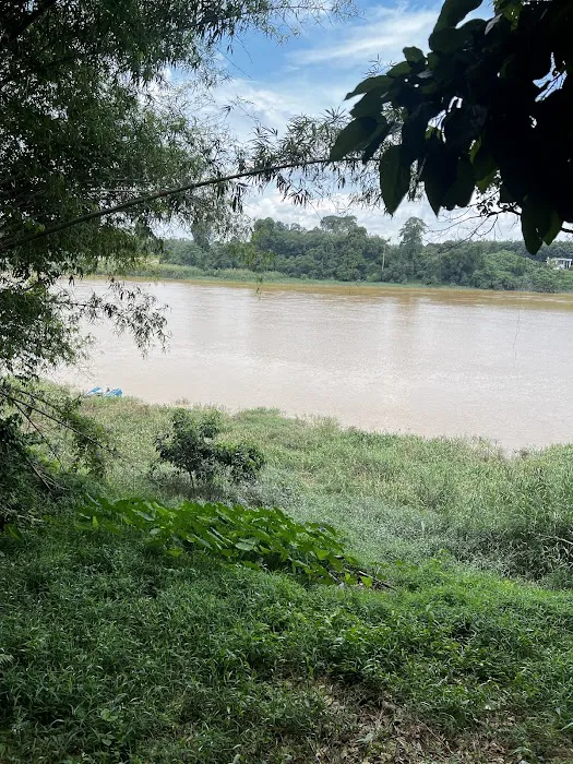 Angah Maju Selera Patin Tebing Sungai Picture 2