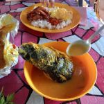 Angah Maju Selera Patin Tebing Sungai