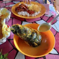 Angah Maju Selera Patin Tebing Sungai ico