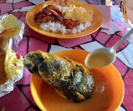 Angah Maju Selera Patin Tebing Sungai