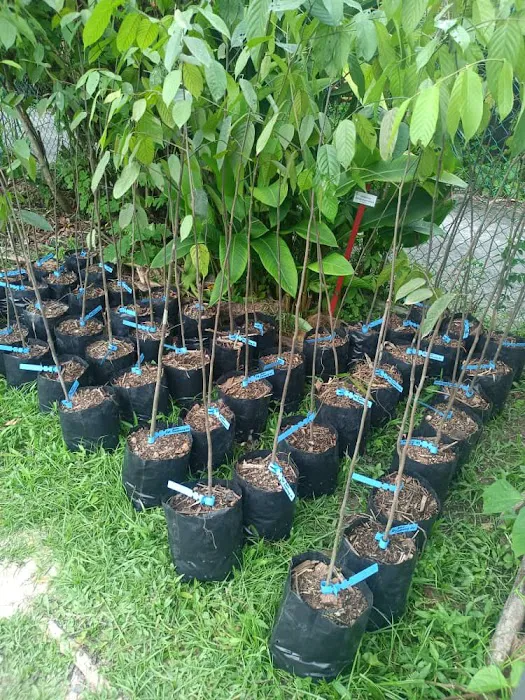 Garden Spring Cheras Picture 10