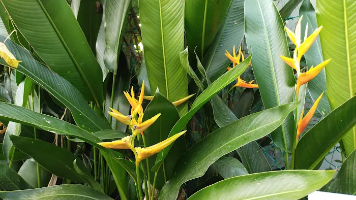 Garden Spring Cheras Picture 1