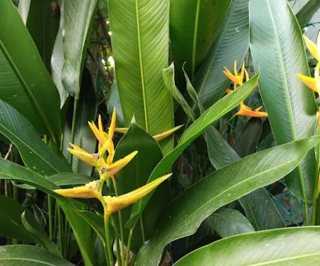 Garden Spring Cheras