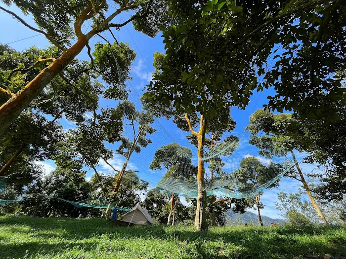 GLO Durian Farm Picture 10