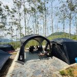 GLO Durian Farm