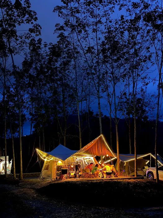 GLO Durian Farm Picture 2