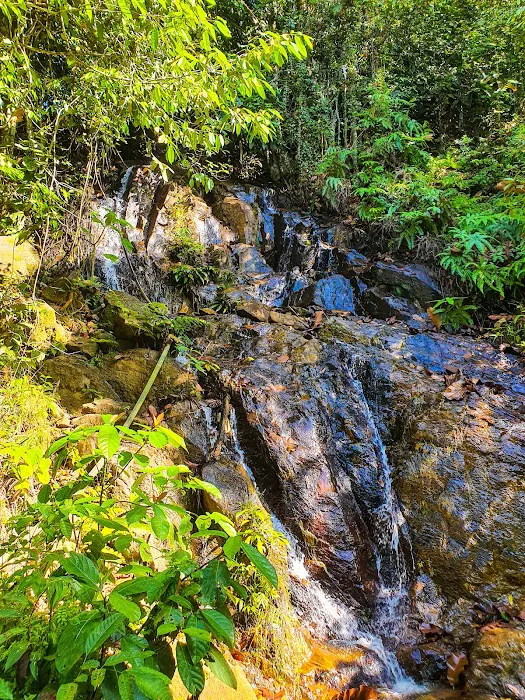 Trail Head to Batu Bertenggek Waterfall Picture 9