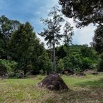 Treeside Campsite