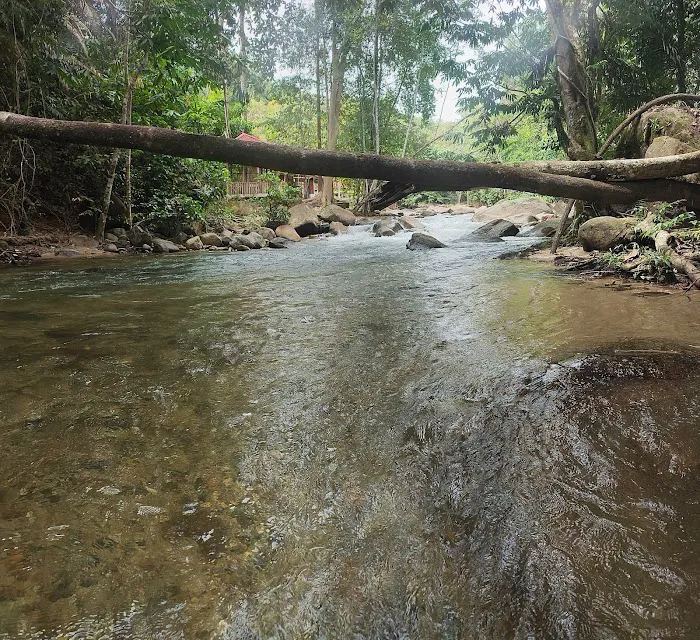 Dusun Haji Radi Picture 2