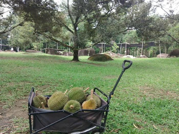 Dusun Haji Radi Picture 5