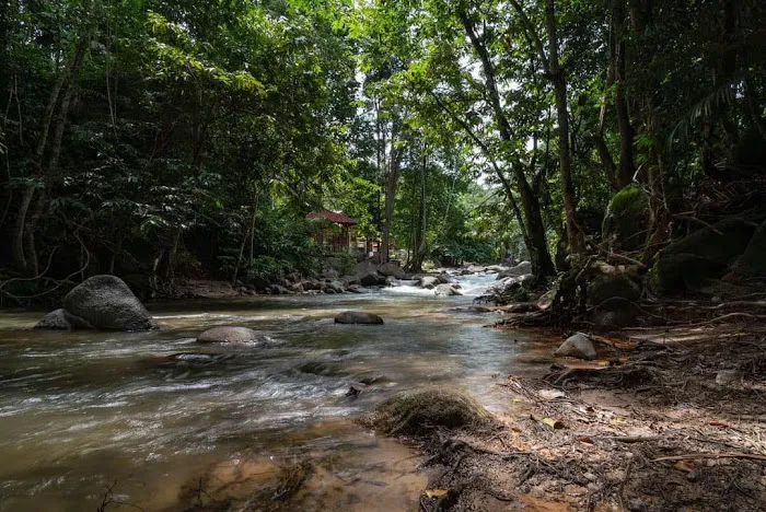 Dusun Haji Radi Picture 3