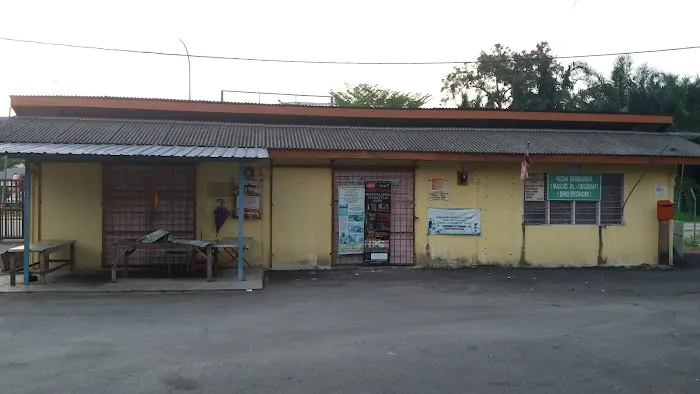 21, Lrg Setaka Picture 8