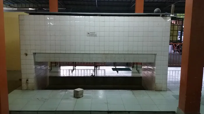 21, Lrg Setaka Picture 5