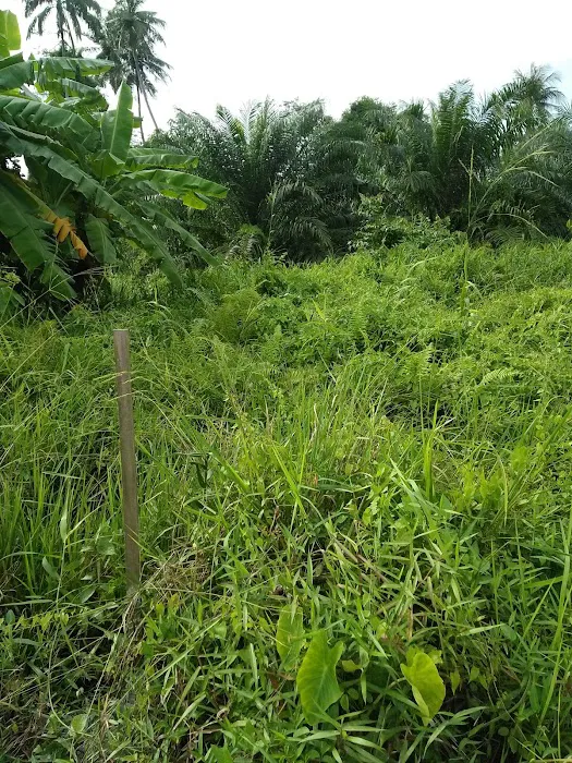 Taman Sri Anika Picture 1