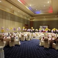 My Balloon Shop ico
