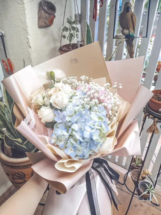 Giffy & Co (Gifts & Flowers) Picture 6