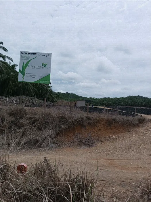 Greenway nursery Picture 3