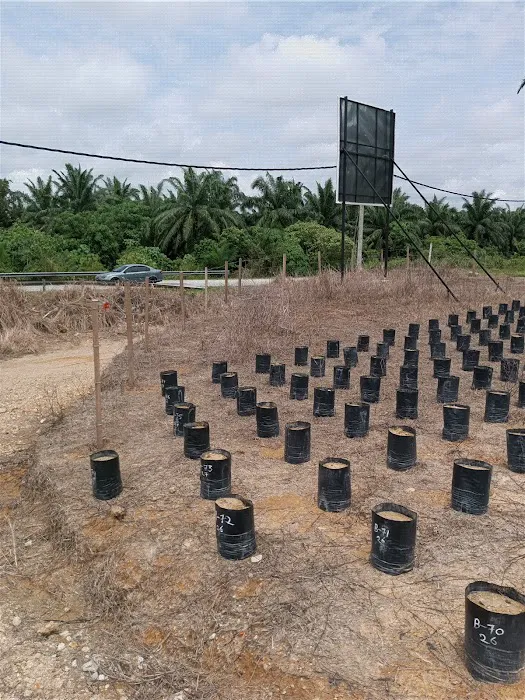 Greenway nursery Picture 4