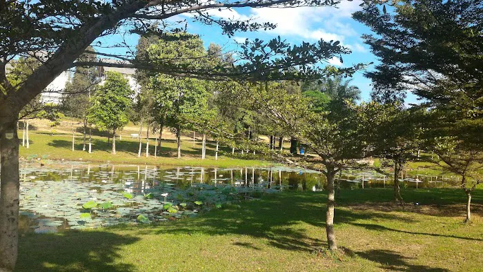 Ara Damansara Park Picture 1