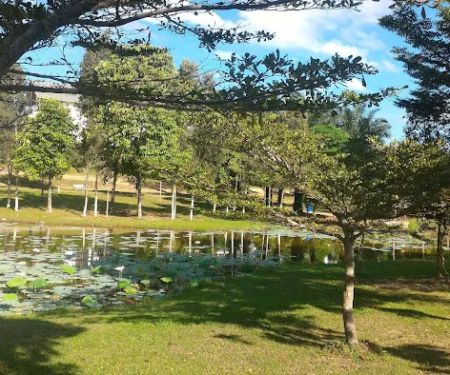 Ara Damansara Park