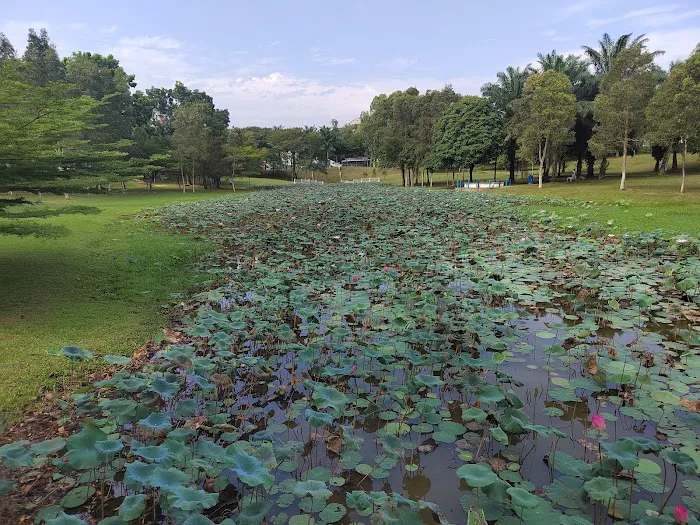 Ara Damansara Park Picture 3