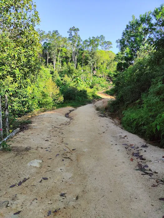 Starting Hiking Bukit Maras Picture 2
