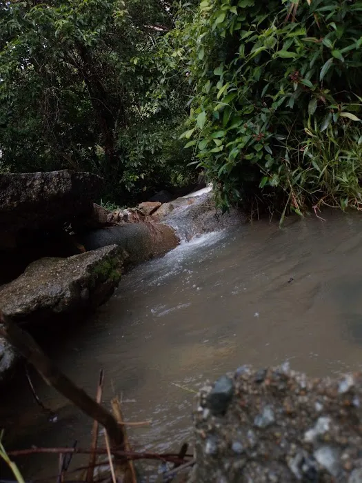 Starting Hiking Bukit Maras Picture 6