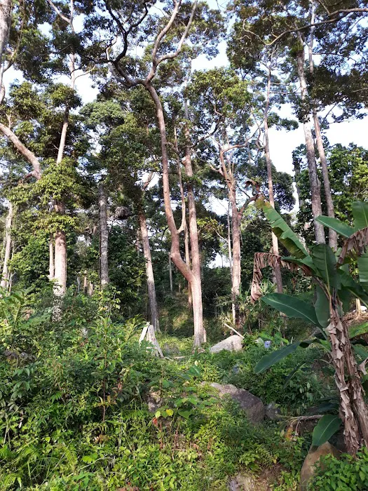 Starting Hiking Bukit Maras Picture 8