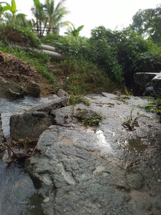 Starting Hiking Bukit Maras Picture 10