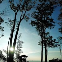 Tropicana Park ico