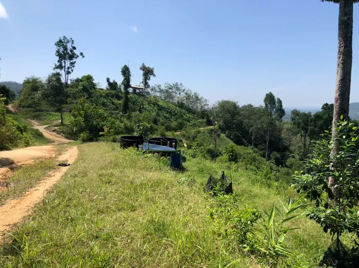 BUKIT MENARA ORCHARD Picture 1