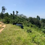 BUKIT MENARA ORCHARD