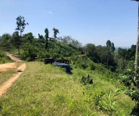 BUKIT MENARA ORCHARD