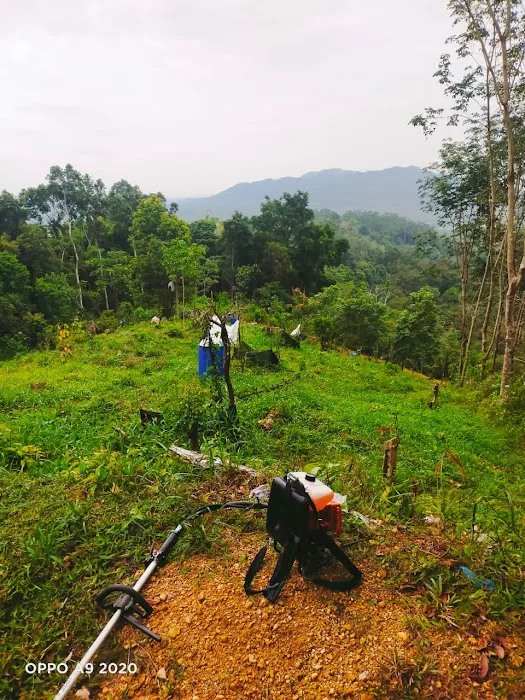 BUKIT MENARA ORCHARD Picture 4