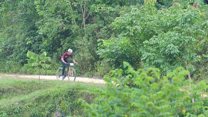 BUKIT MENARA ORCHARD Picture 8