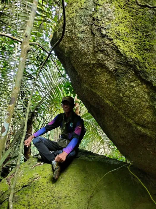 Permatang bukit kolong bijih Picture 6