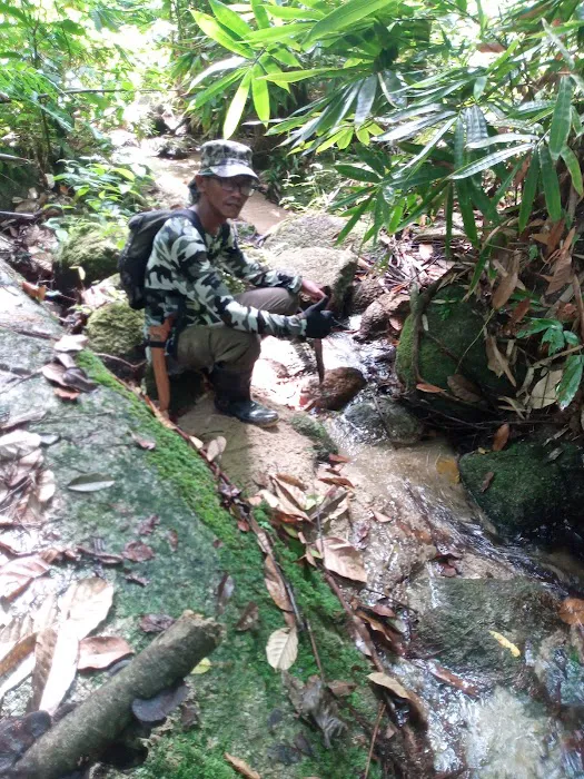 Permatang bukit kolong bijih Picture 4
