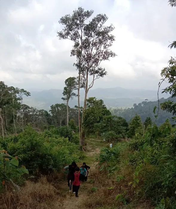 Permatang bukit kolong bijih Picture 1