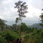 Permatang bukit kolong bijih