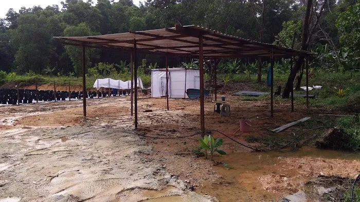 Surau Al-falah Picture 10