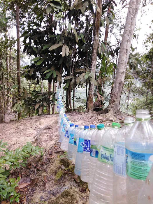 Starting Hiking Bukit Tok Salai Picture 7