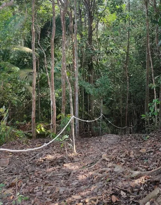 Starting Hiking Bukit Tok Salai Picture 5