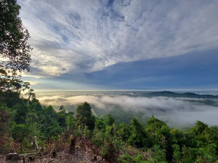 Starting Hiking Bukit Tok Salai Picture 3