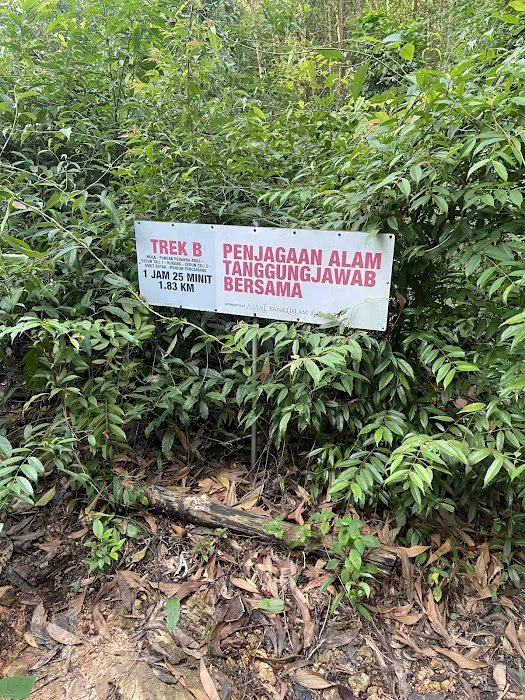 Trailhead ke Bukit botok(Laluan hutan) Picture 1