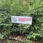 Trailhead ke Bukit botok(Laluan hutan)