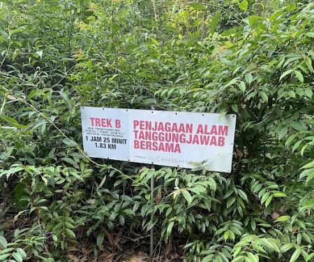 Trailhead ke Bukit botok(Laluan hutan)