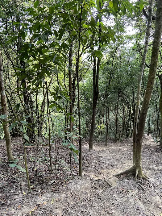 Bukit Tobak Bukit Besar Picture 3